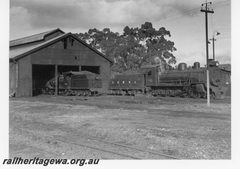 P16426
MRWA D class loco, MRWA B class loco, loco shed, MRWA loco depot, Midland, c1954
