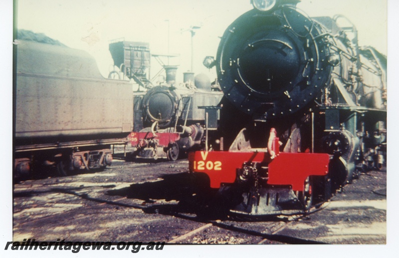 P16499
V class 1202, DD class 595, coal shute, East Perth loco depot, track level view
