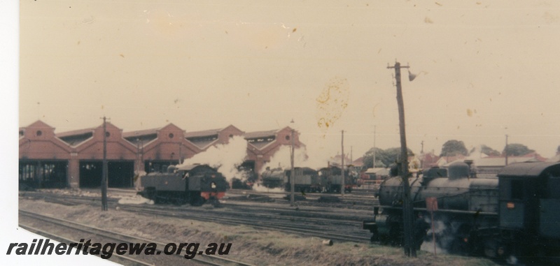 P16530
Loco shed, various steam locos, loco depot, East Perth 
