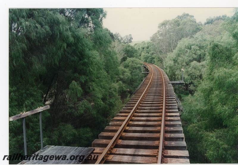 P16586
Section of track through forest, Pemberton Tramway
