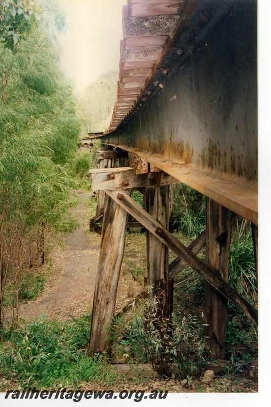 P16587
Wooden trestles, steel girders, forming part of rail bridge, forest track, Pemberton Tramway
