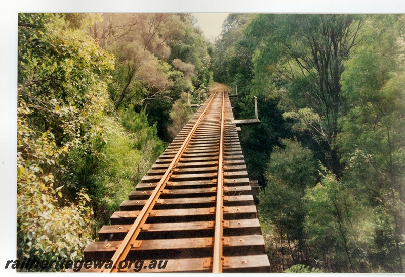 P16588
Section of elevated track through forest, Pemberton Tramway
