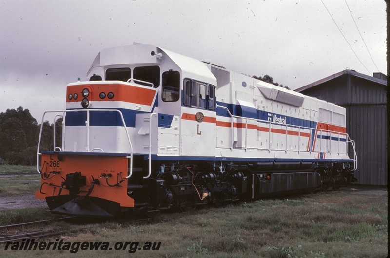 P16653
L class 268, in white orange and blue livery, with Westrail tooth logo, shed, front and side view
