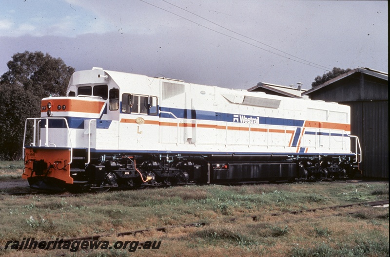 P16654
L class 268, in white orange and blue livery, with Westrail tooth logo, shed, front and side view
