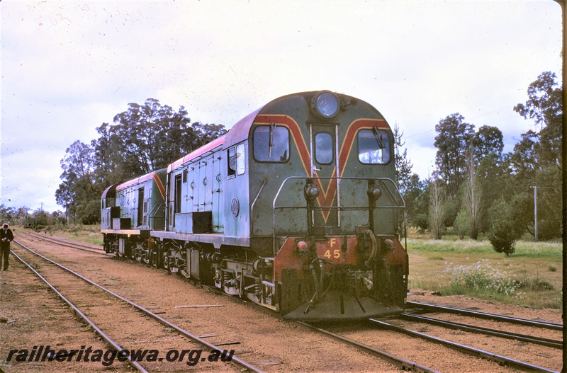 P16686
F class 45 and another F class loco, in green with red and yellow stripe, bush setting, side and front view

