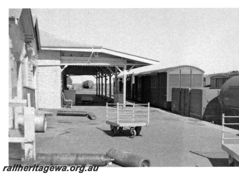 P16711
Rake of goods wagons at platform, diesel loco in background, canopy, drum, compressed gas cylinders, luggage trolleys, seat, Mount Magnet, NR line, view along platform
