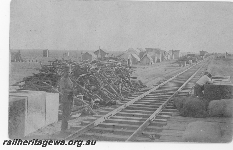 P16799
Commonwealth Railways (CR) - TAR line railway construction camp at the western end of the line. C 916
