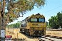 Filename=P16784.jpg
Filesize=289KiB
Dimensions=800x533
Date added=Jun 14, 2019 P16784.jpg