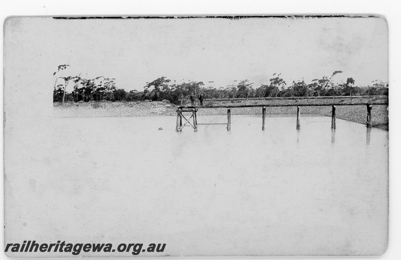 P16810
Commonwealth Railways (CR) - TAR line dam possibly at Karonie. c1916
