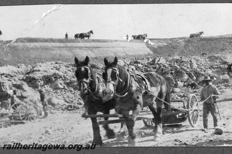 P16831
Commonwealth Railways (CR) - TAR line horse hauling 'tumbling tommies 