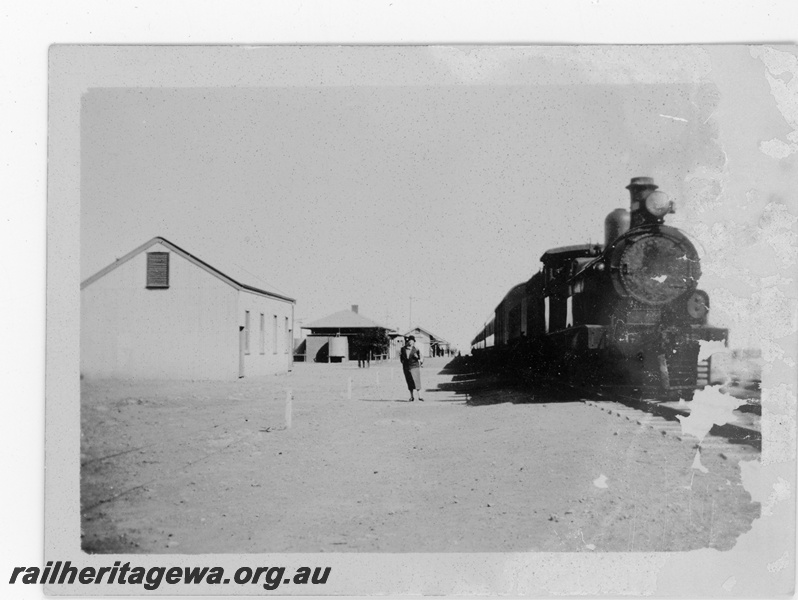 P16867
Commonwealth Railways (CR) - TAR line G class steam locomotive hauling Transcontinental express at Cook.
