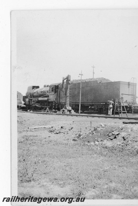 P16868
Commonwealth Railways (CR) - TAR line C class 66 steam locomotive fitted with smoke deflectors. Water column along side locomotive.
