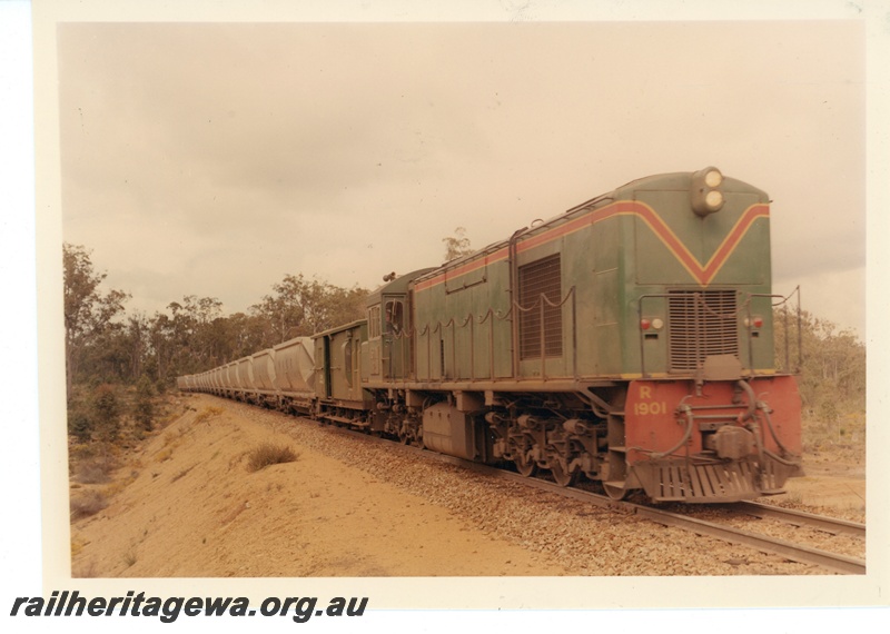 P16974
R class 1901, weathered loco with side chains, in green livery with red and yellow stripe, on goods train, side and front view
