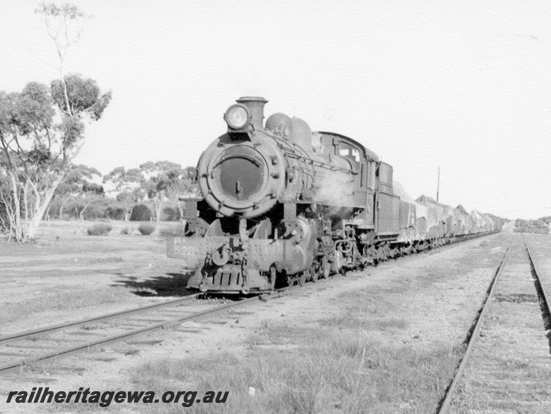 P17013
PR class 522 on goods train, siding, Merredin to Bruce Rock, section, NWM line, front and side view, c1966
