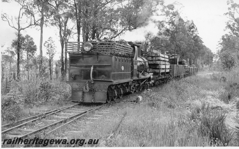 P17028
State Saw Mill No 2 G class loco, tender first on mill train, Deanmill to Manjimup branch, rear and side view 
