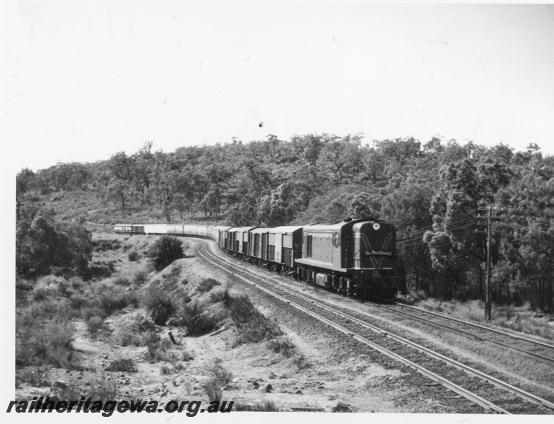 P17084
C class 1703 diesel locomotive hauling The Westland express near National Park in the Darling Ranges. ER line.
