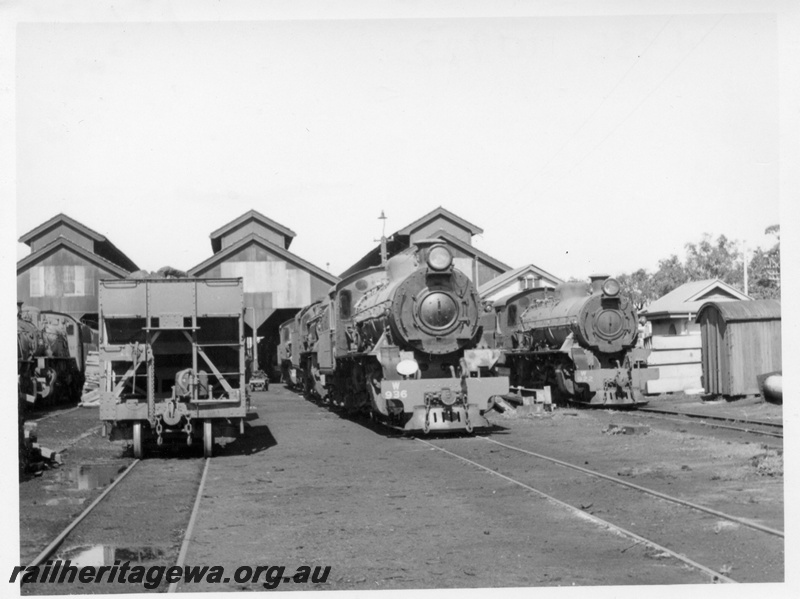 P17127
W class 936 & W class 922 locomotives. Front view at East Perth loco. Unidentified XA class coal hopper to left of loco. ER line. Grounded D class van to right.
