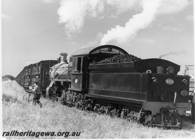 P17182
F class 423, on abattoirs shunt, cyclist, Midland, ER line, side and rear view
