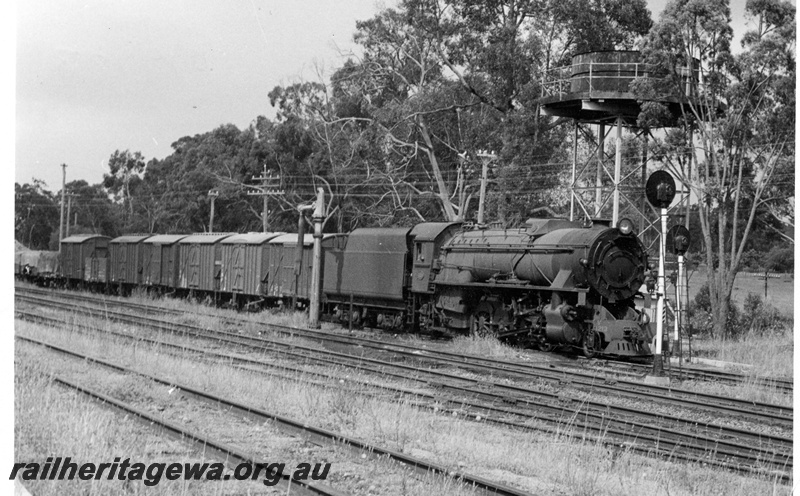 P17188
V class 1213, on goods train No 6, water tower, signal, Koojedda, ER line
