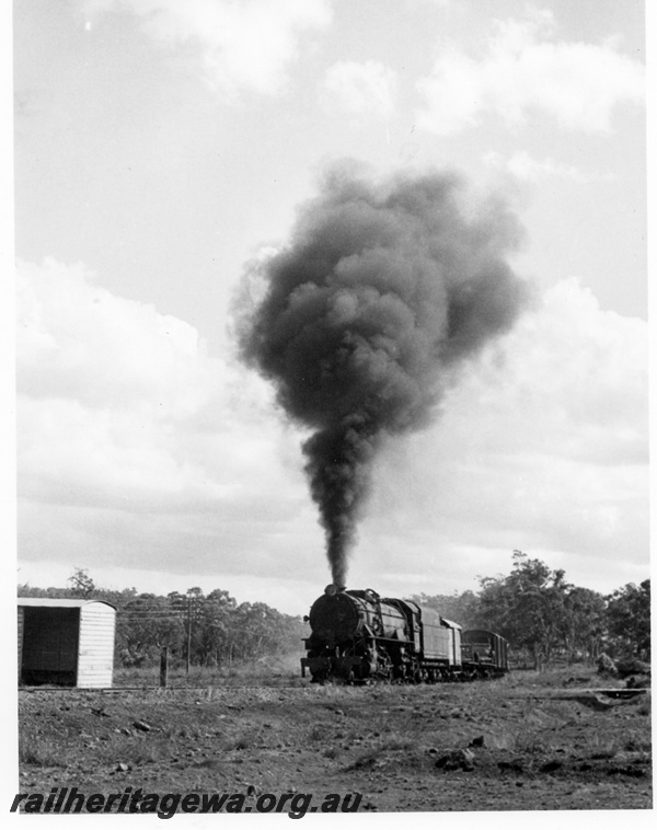 P17191
V class loco, on goods train, ER line, c1965
