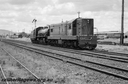 P17152.jpg