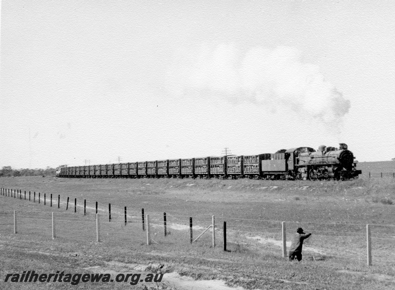 P17204
PM class 713, on stock special, fencing, spectator, near Meenaar, EGR line
