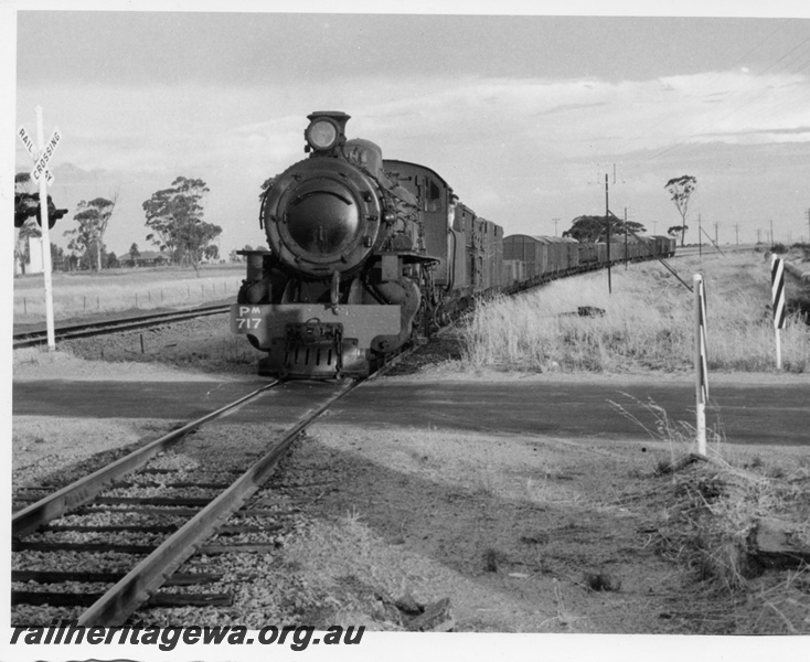 P17208
PM class 717,on goods train, passing level crossing, near Kellerberrin, EGR line, c1966
