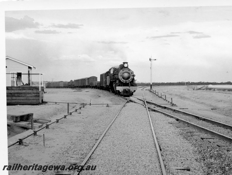 P17212
PM class, on up goods train, crossing standard gauge track, signal, Tammin, EGR line
