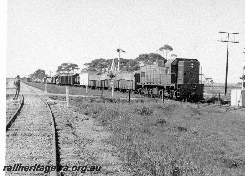 P17219
A class 1509, on goods train, signal, spectator, Doodlakine, EGR line
