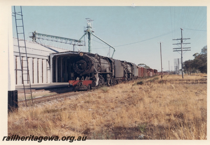 P17234
V class 1221 and V class 1210, double heading goods train No 16, departing Pingelly, GSR line
