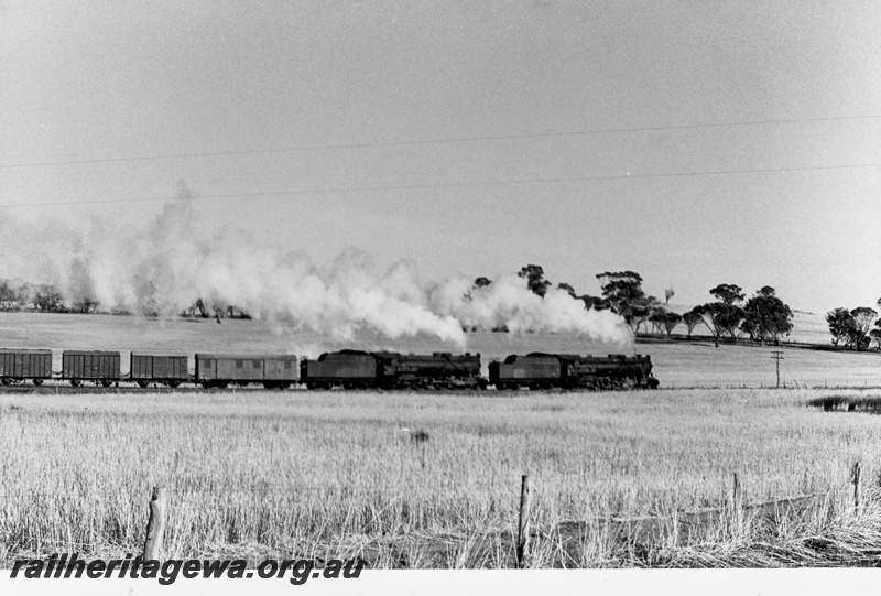 P17247
Two V class steam locomotives double heading on a goods train, brakevan, covered vans, side view, country scene.
