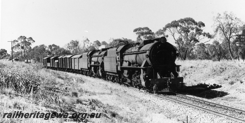 P17248
V class 1218 steam locomotive double heading with V class 1219 steam locomotive on goods train, side and front view.
