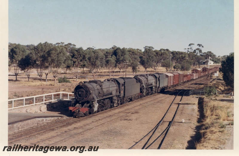 P17253
V class 1221 steam locomotive double heading with V class 1210 steam locomotive double heading on goods train, front and side view, arriving at Pingelly, GSR line, edge of platform, siding, cheese knob, semaphore signal.
