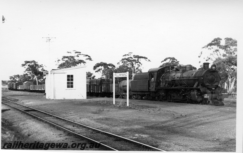 P17262
W class 903 steam locomotive, side and front view, on goods train, nameboard, station building, loop, Yilliminning, NWM line.
