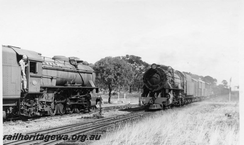 P17272
V class 1216 steam locomotive, front and side view, crossing V class 1213 steam locomotive, side view, points lever, tracks, Cuballing, GSR line.
