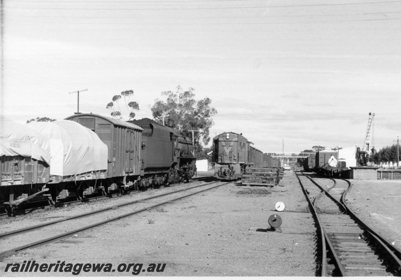 P17277
R class 1903 diesel locomotive, front view, crossing V class 1223 steam locomotive, loading bank and crane, goods shed, footbridge, cheese knobs, Pingelly, GSR line.
