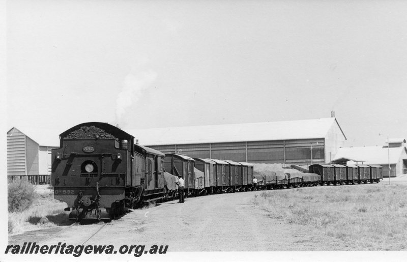 P17292
DD class 592 steam locomotive, shunting goods wagons, Picton, SWR line.

