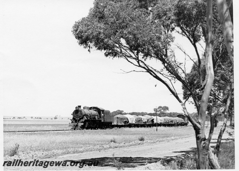 P17308
W class 903 working Merredin to Narembeen. With the exception of the leading wagon all others have tarpaulins covering the load. NKM Line.
