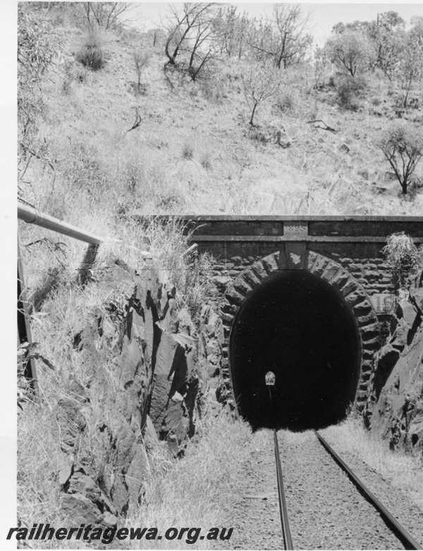 P17309
The west portal of the original tunnel built in 1895. This tunnel was built on the Eastern railway east of Swan View on the ER line..
