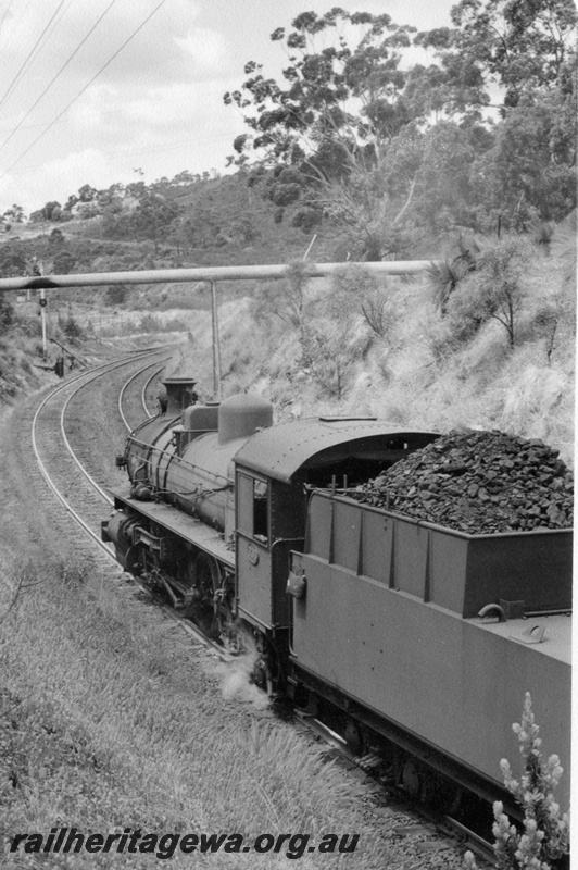 P17319
PMR class 730 steam locomotive east of Swan View. ER line. Overhead view of loaded tender and side, towards front, of locomotive. Note pipeline erected over tracks in background.
