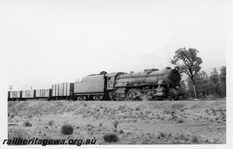 P17329
V class 1215 steam locomotive, side and front view, on goods train, leaving Collie, BN line.
