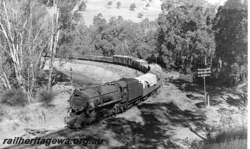 P17331
V class 1203 steam locomotive on goods train, on a curve on embankment, front and side view, Olive Hill, BN line.
