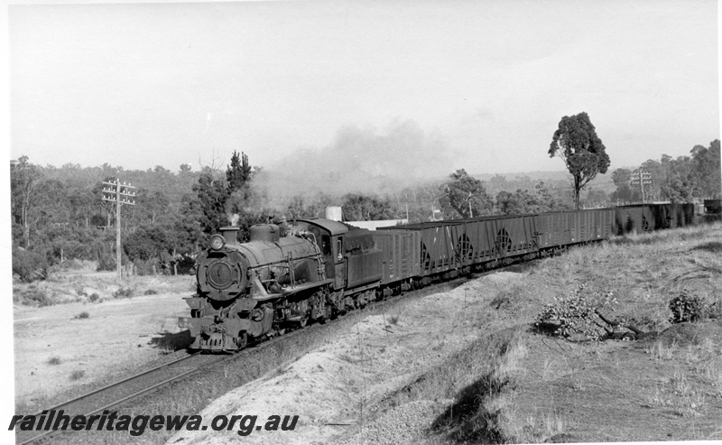 P17333
W class 956 steam locomotive on goods train, front and side view, approaching West Collie, BN line.
