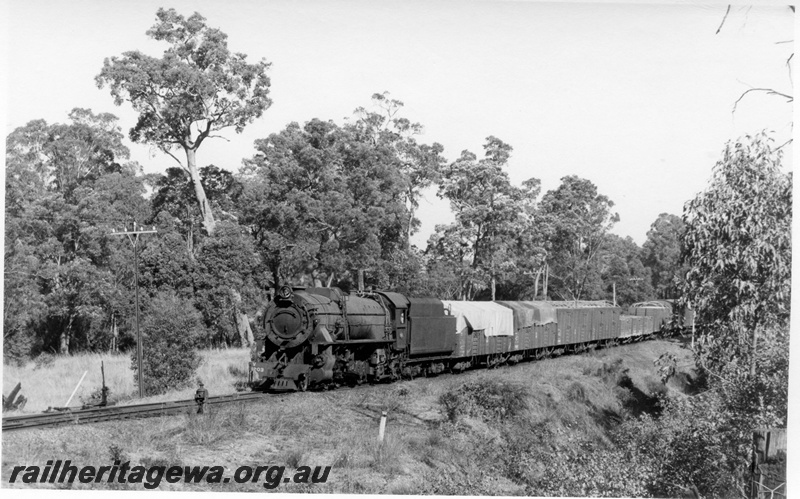 P17339
V class 1203 steam locomotive on goods train, front and side view, points lever and points indicator, Beela, BN line.
