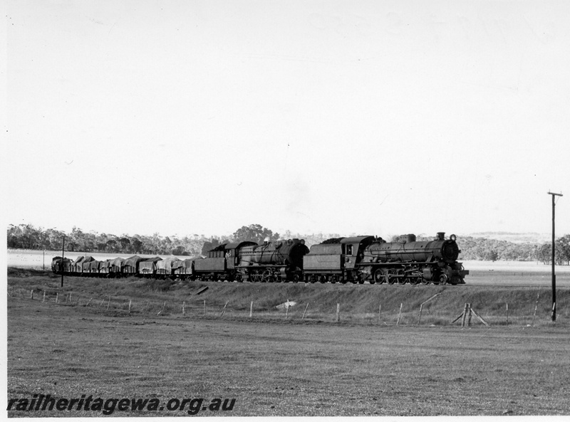 P17347
W class 919 steam locomotive and S class 550 