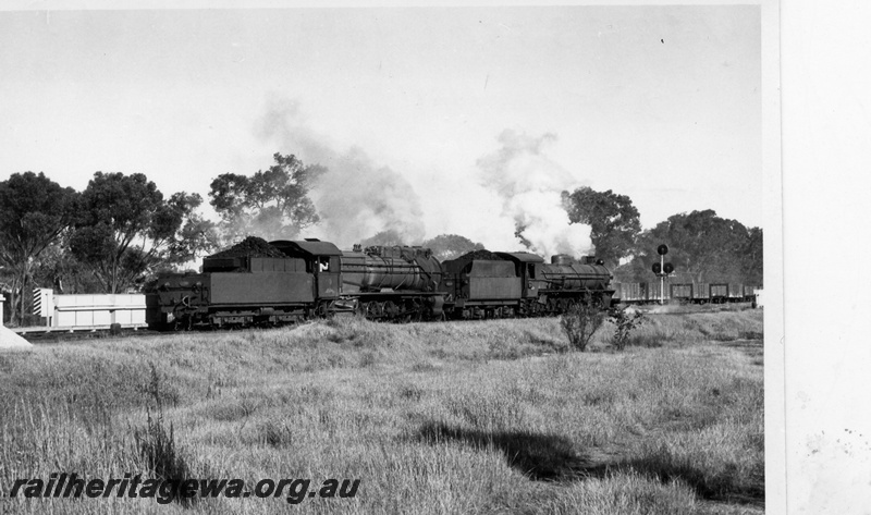 P17349
W class 919 steam locomotive and S class 550 