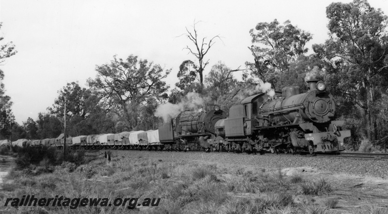 P17370
W. class 910 and S class 544  