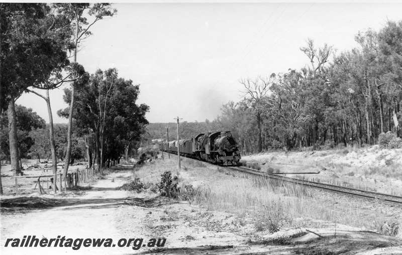 P17398
Two steam locos, double heading goods train, through forest, beside tree lined and fenced dirt road, c1969
