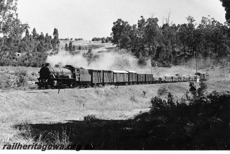 P17429
W class 904, on Donnybrook to Boyup Brook goods train, DK line
