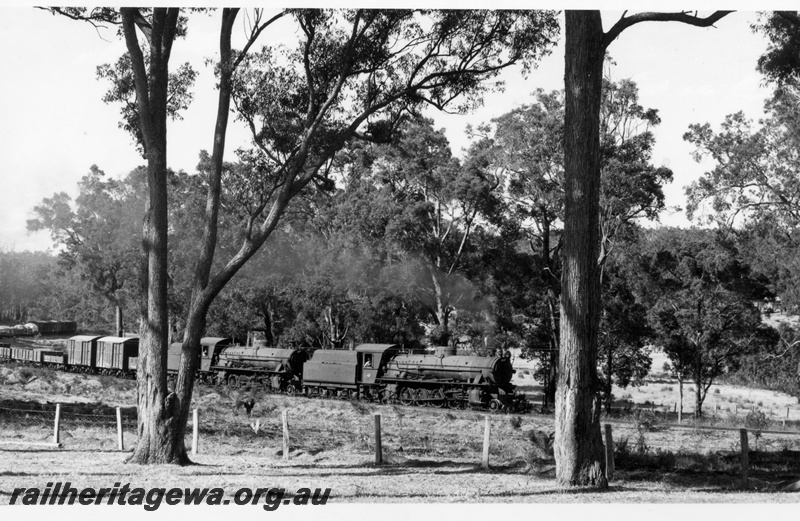 P17441
W class 922, W class 917, double heading goods train, 168 mile peg near Hester, PP line, view through trees
